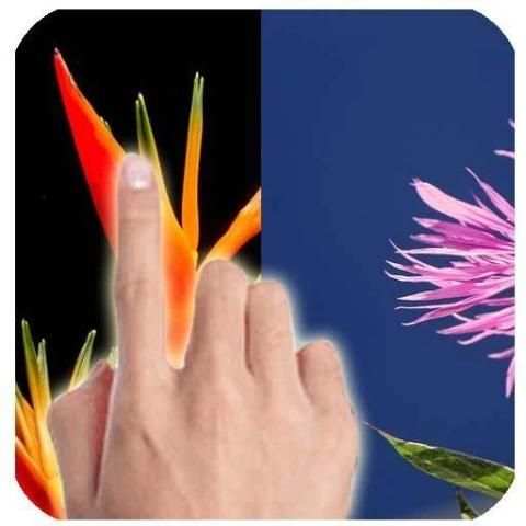 Change Background Photo 1 تصوير الشاشة