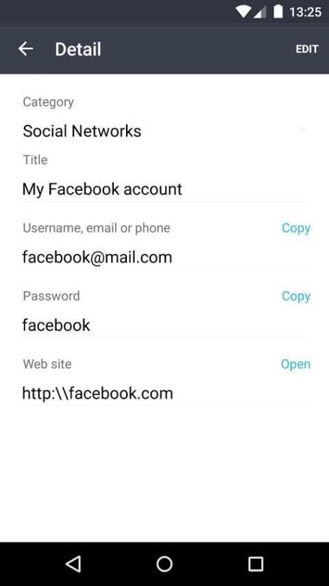 Passwords Storage 4 تصوير الشاشة