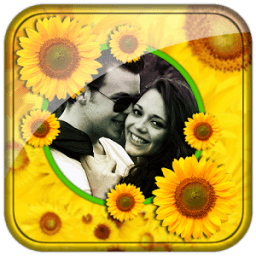 Sunflower Photo Frames icon