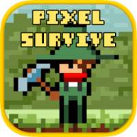 Pixel Survival Adventure