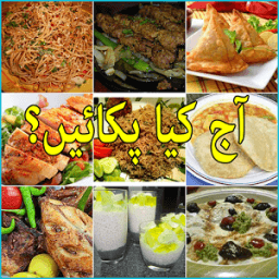 Pakistani Recipes in Urdu icon