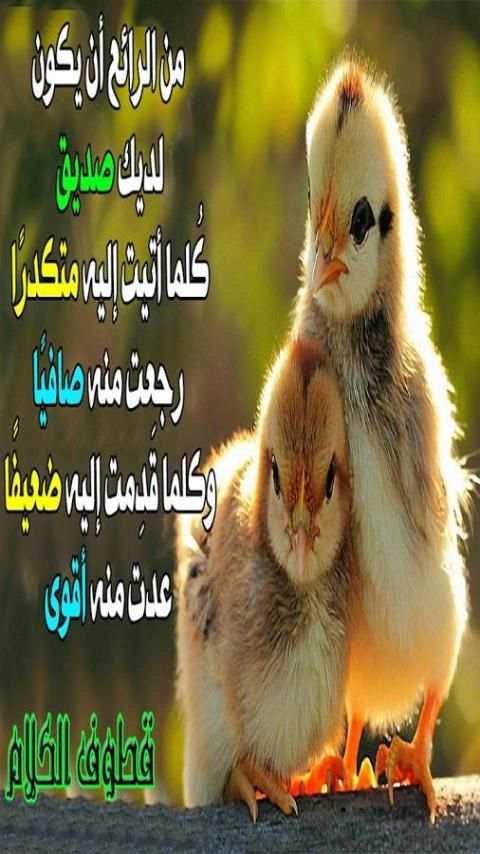 قطوف الكلام screenshot 6