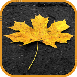 ikon musim gugur hidup wallpaper