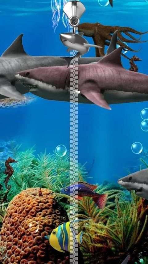 Hiu mengunci layar. screenshot 4