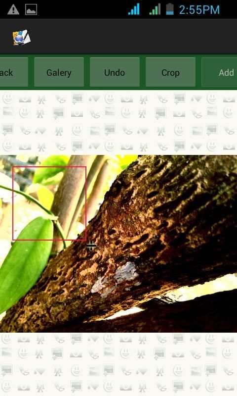 Image Comment Editor скриншот 8