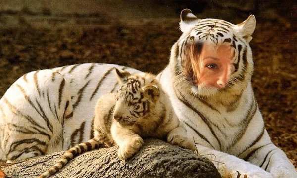 Animal Photo Frames скриншот 3