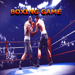 ikon Boxing Game