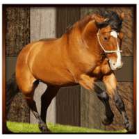 Horse Racing 3D 2016