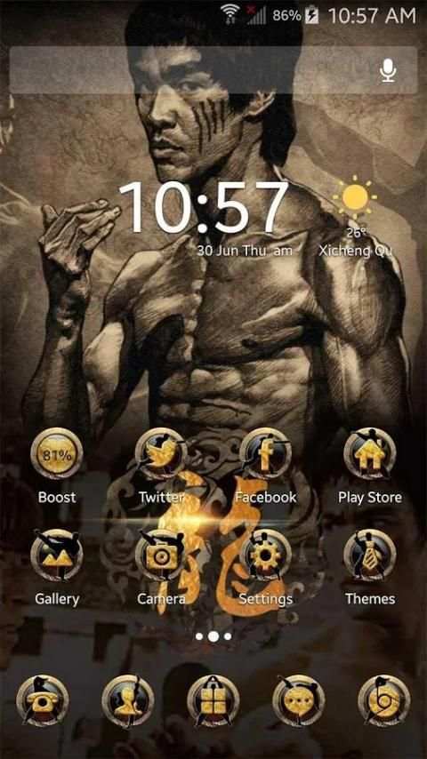 Theme for Bruce Lee screenshot 3