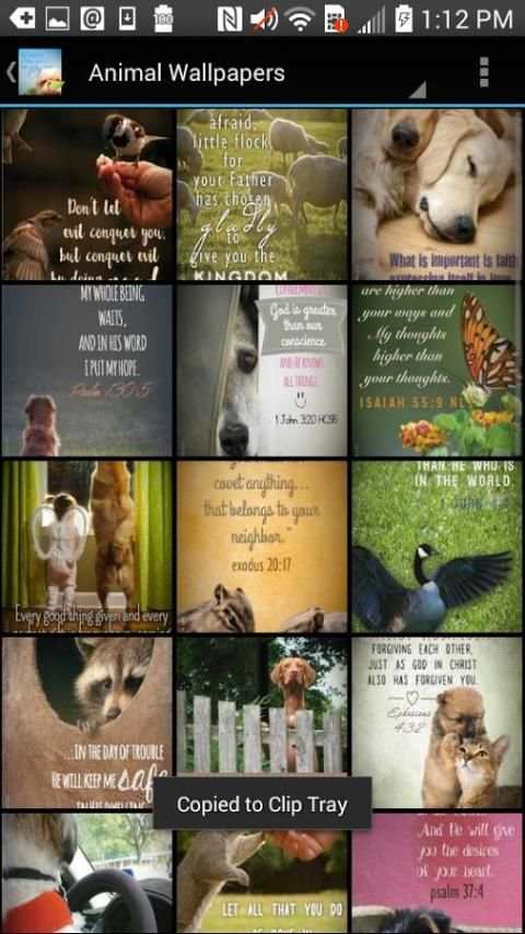 Animal Christian Wallpapers S 8 تصوير الشاشة