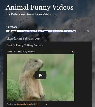 Video Binatang Lucu screenshot 1