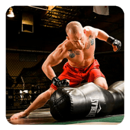 MMA Trainning иконка