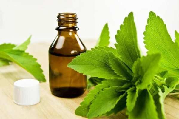 Stevia ☘ 1 تصوير الشاشة