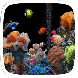 Aquarium Live Wallpaper Theme 1.0.0
