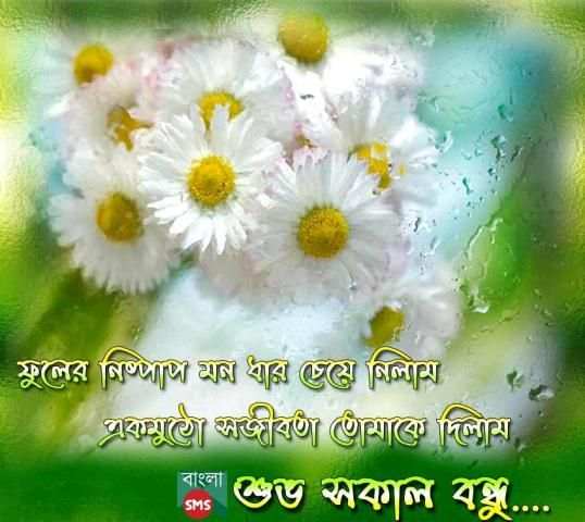 Bangla SMS स्क्रीनशॉट 1