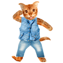 ikon Berbicara kucing nyata