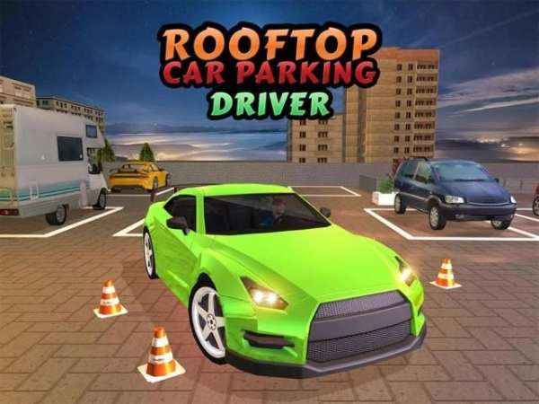 Rooftop Car Parking Driver screenshot 14