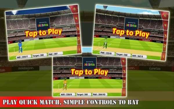 Cricket World Championship screenshot 7