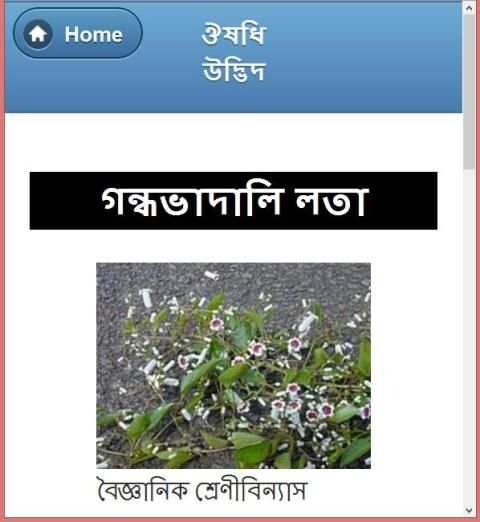 ভেষজ উদ্ভিদের ও ব্যবহার screenshot 8