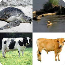 Tebak Gambar Doang иконка