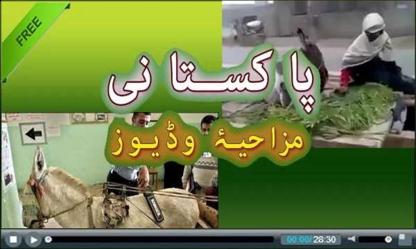 World Best Funny Video Clips 4 تصوير الشاشة