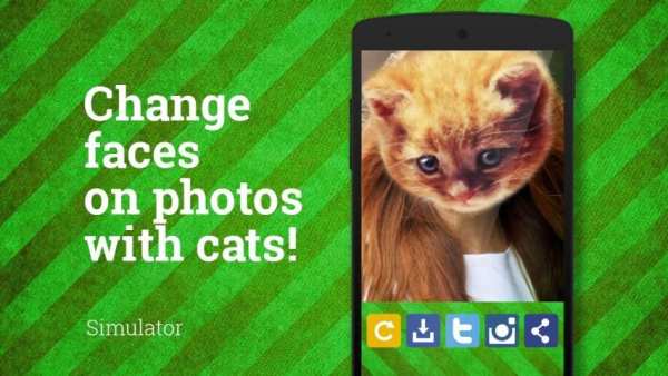Cat Wajah Foto screenshot 1