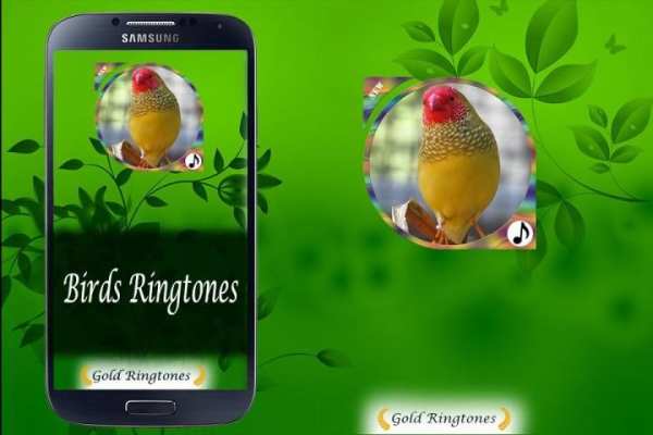 Birds Ringtones स्क्रीनशॉट 4