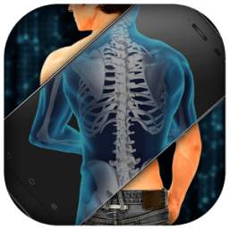 X-ray Body Scanner Simulator