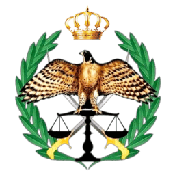 DVLD- ترخيص السواقين والمركبات أيقونة