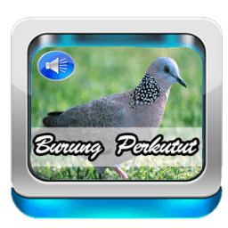 Suara Perkutut Lokal Masteran иконка