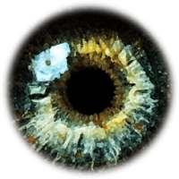 Filters for pictures cam on 9Apps