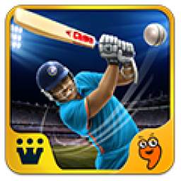 Power Cricket T20 1.0