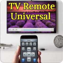 TV Remote Universal Prank