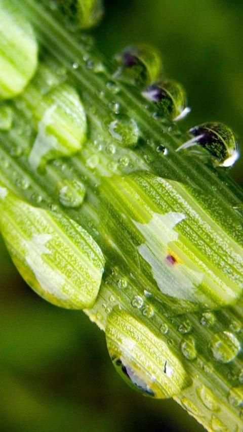 Wallpaper Galaxy S6 5 تصوير الشاشة