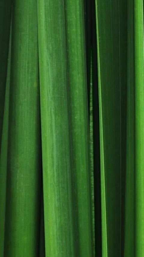 Wallpaper Galaxy S6 8 تصوير الشاشة