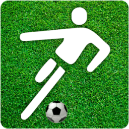 ikon One Football Soccer