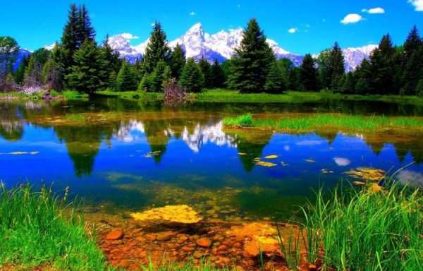 Lake Live Wallpaper screenshot 4