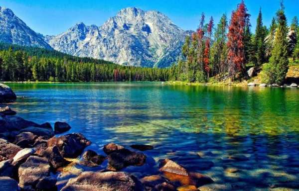 Lake Live Wallpaper 1 تصوير الشاشة
