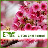 Türk Bitki Rehberi on 9Apps