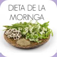 Dieta de la Moringa