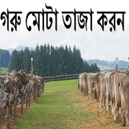 গরু মোটা তাজা করণ ওপ্রশ্নউত্তর иконка