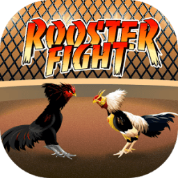 ikon Rooster Fight - Chicken Fight