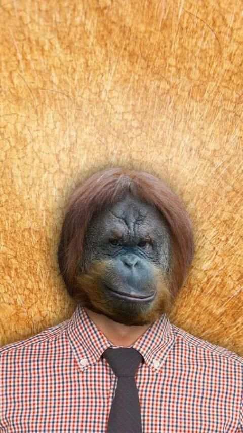 Animal Face Photo Editor 3 تصوير الشاشة