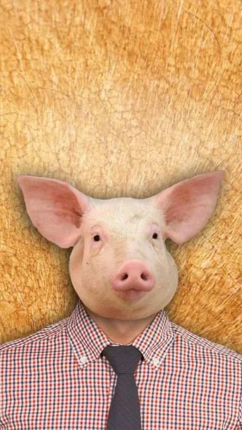 Animal Face Photo Editor screenshot 1
