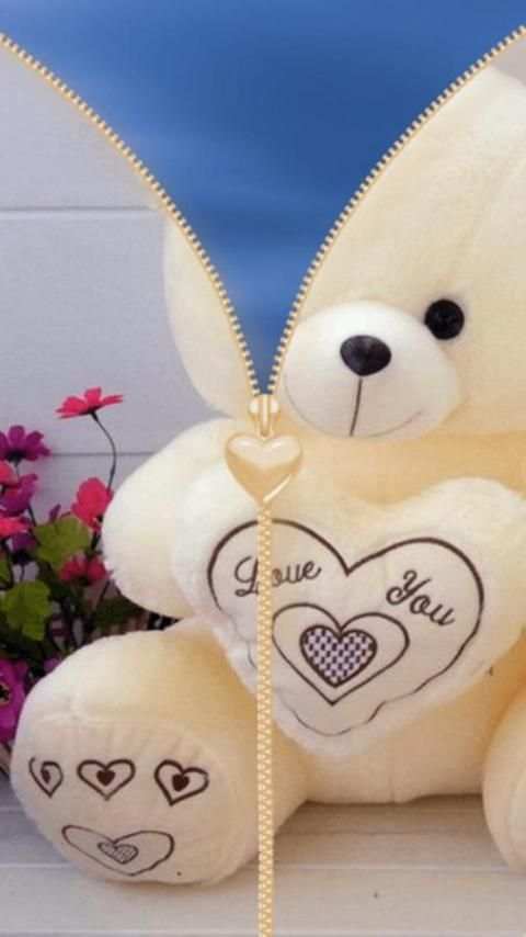 Teddy Bear Zipper Lock screenshot 4