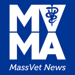 MassVet News أيقونة