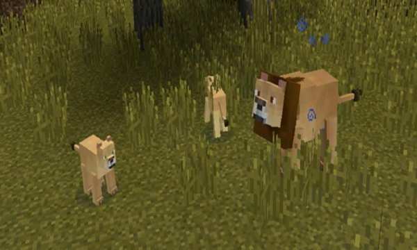 Mod Pocket Creatures for MCPE screenshot 3