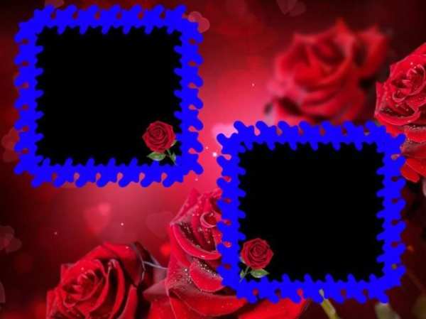 Flower Photo Frames скриншот 10