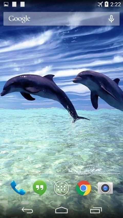 Magic Dolphins Live Wallpaper screenshot 4