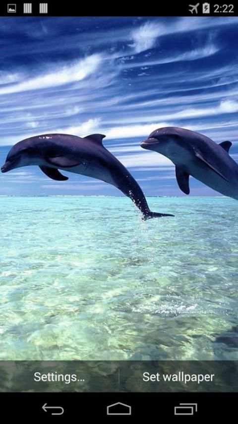 Magic Dolphins Live Wallpaper screenshot 3